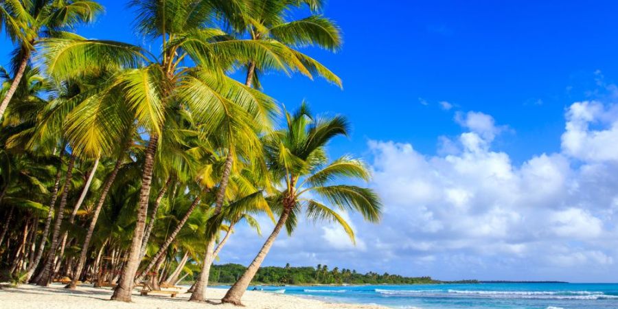 Домінікана по кишені